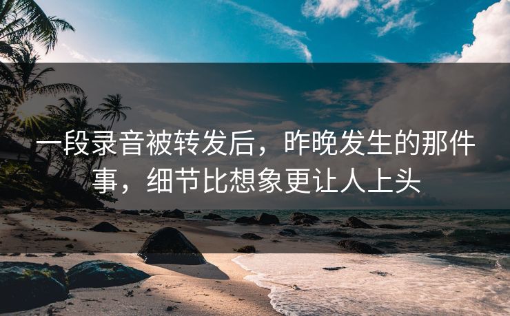 一段录音被转发后，昨晚发生的那件事，细节比想象更让人上头