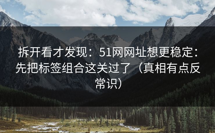 拆开看才发现：51网网址想更稳定：先把标签组合这关过了（真相有点反常识）