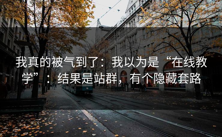我真的被气到了：我以为是“在线教学”：结果是站群，有个隐藏套路